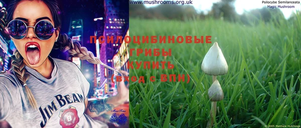 винт Алексеевка