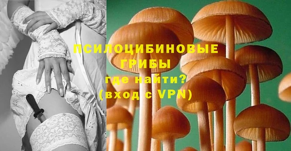 а пвп мука Алзамай