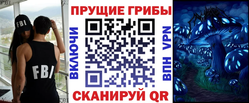 Псилоцибиновые грибы Psilocybe Красноуральск
